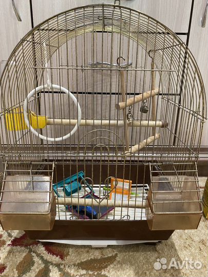 Клетка + игрушки, еда для попугая