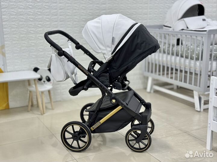 Коляска Rico basic montana 2в1