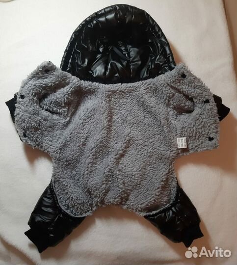 Одежда для собак мелких пород