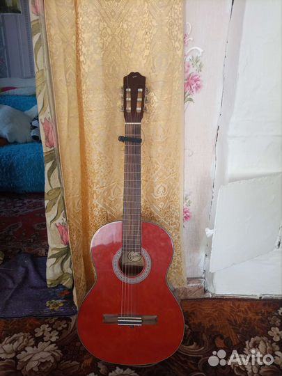 Акустическая гитара Vision