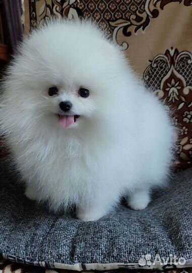 Белоснежная помочка