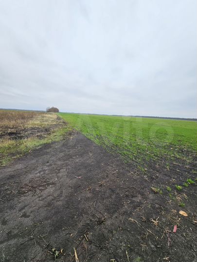 Участок 67 га (СНТ, ДНП)