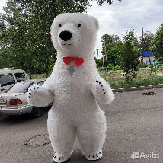 Белый мишка поздравление