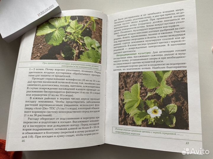 Книга Календарь работ в саду и огороде