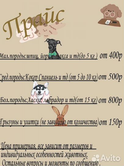 Передержка, зоогостиница домашних животных