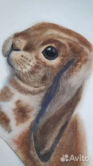 Картина акварелью «Кролик»