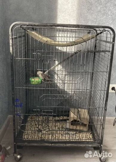 Клетка для грызунов