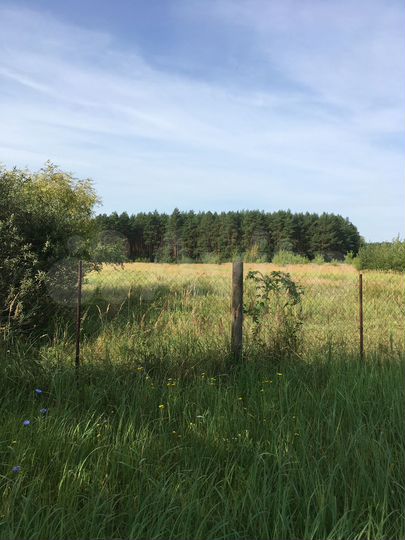 Участок 38 сот. (ИЖС)