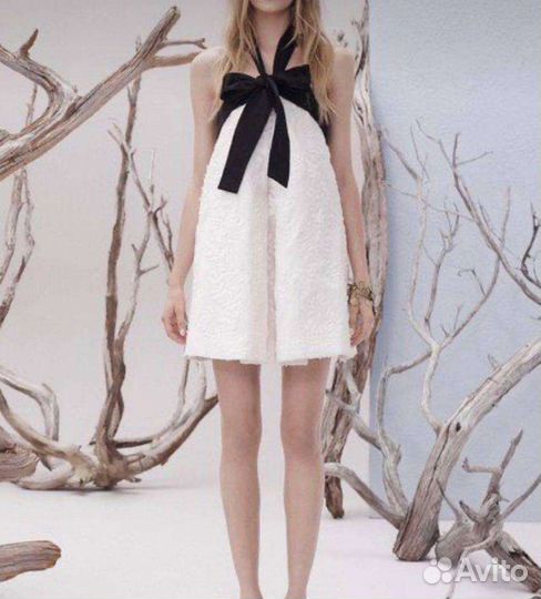 Сухие Ветки, Деревья, Коряги, Бревна