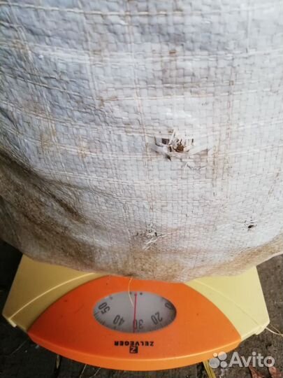 Картофель мелкий на корм скоту