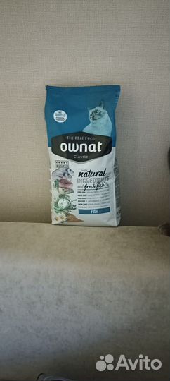 Корм для кошек и котов