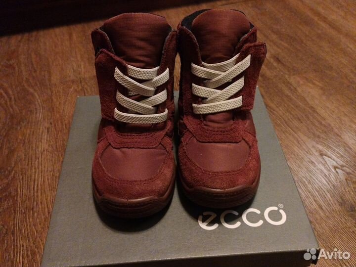 Ботинки ecco urban muni 24 деми
