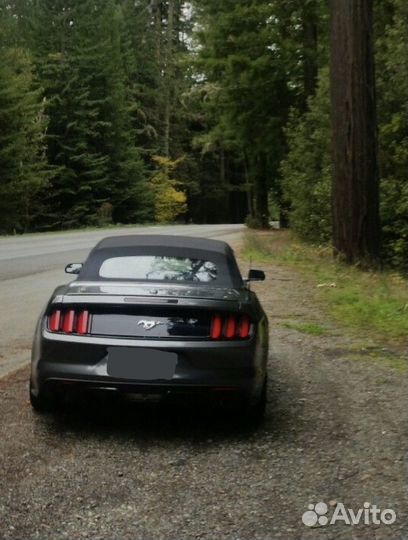 Аренда кабриолета mustang