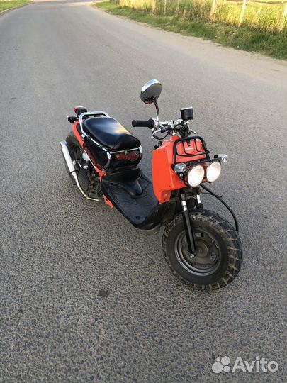 Honda zoomer