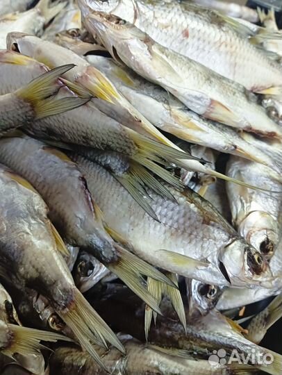 Продается малосоленная рыбка домашнего посола