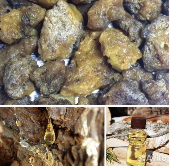 Живица кедровая/В сухом и жидком виде