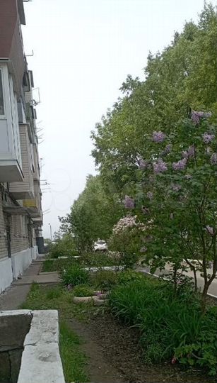 3-к. квартира, 60,5 м², 4/4 эт.