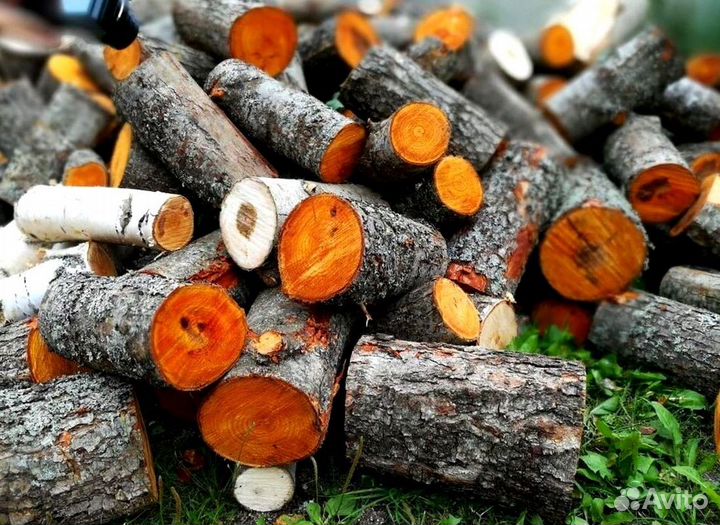 Дрова из Буратино