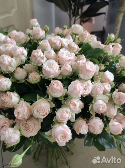 Пионовидные розы букет роз