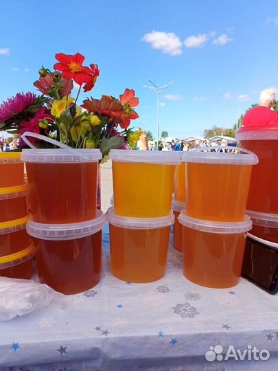 Мед, сотовый мед