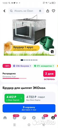 Брудер для цыплят