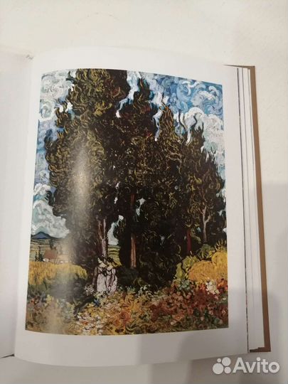 Книга Ван Гог