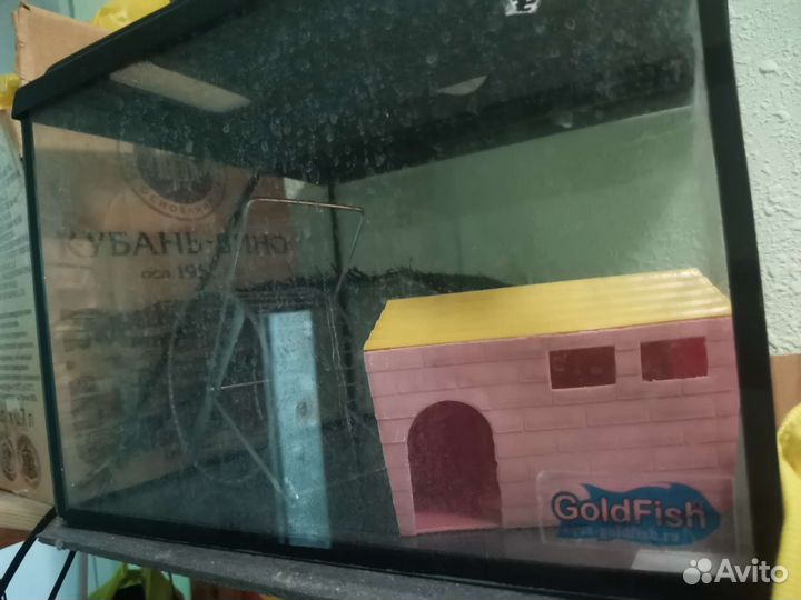 Террариум для рептилий или дом для хомяка