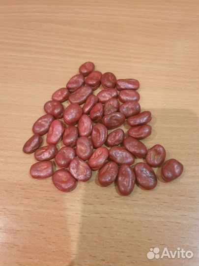 Гадание на бобах(золотой гумалах), обучение