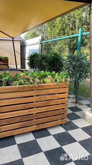 Вертикальное озеленение, подвесные сады, фитостена