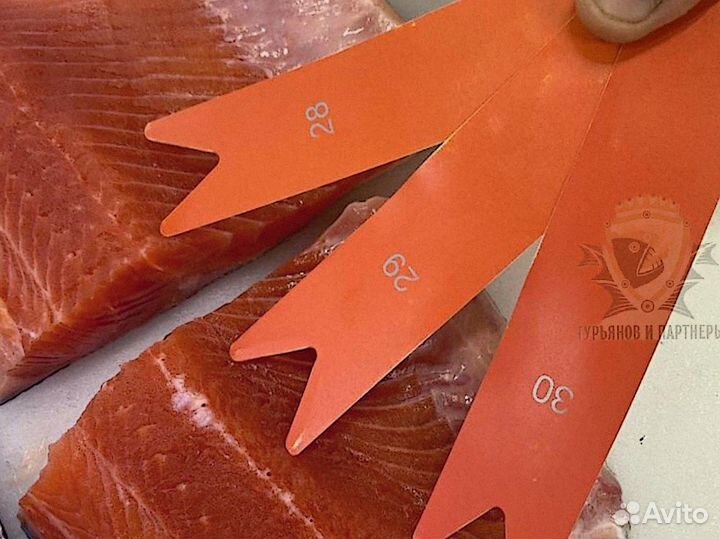 Форель килька обрезь лосося скумбрия горбуша опт