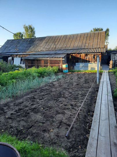 Дом 41,5 м² на участке 4,9 сот.