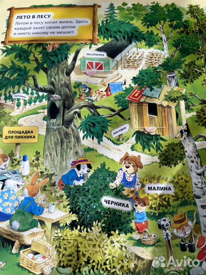 Книги с окошками