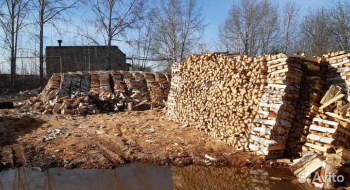 Дрова березовые
