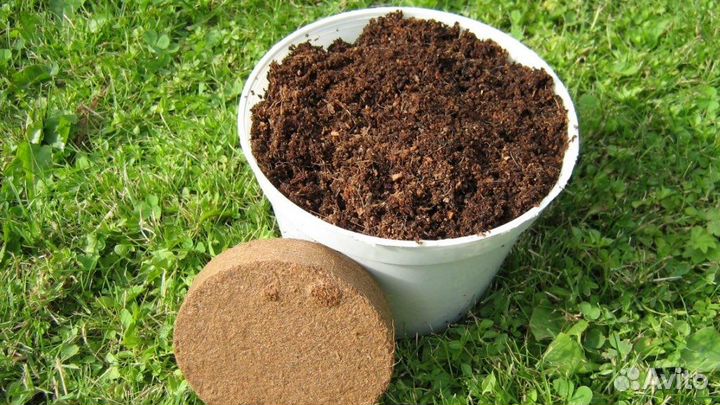 Торфогрунт