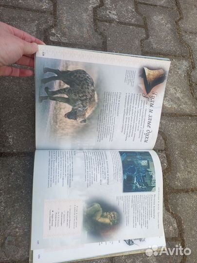 Игрушки животные. + Книга