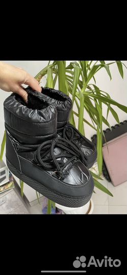 Снегоходы abricot