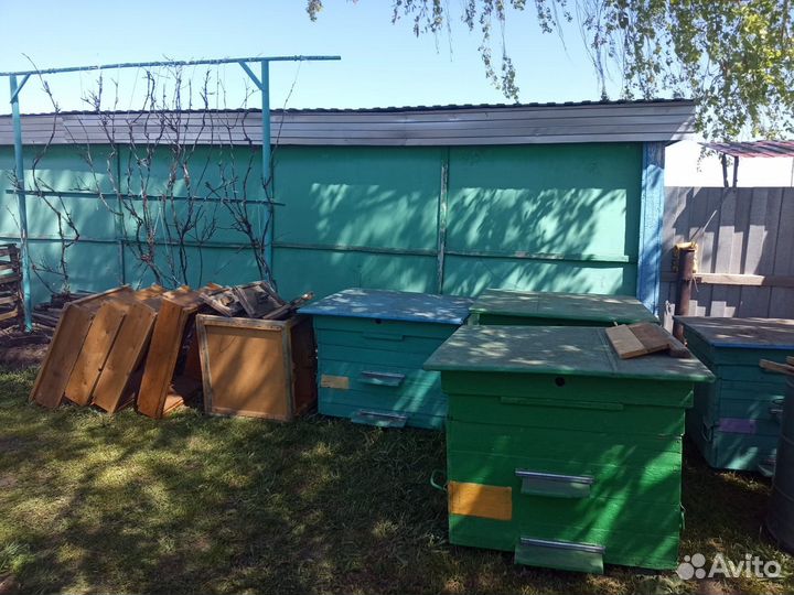 Пчелиные ульи