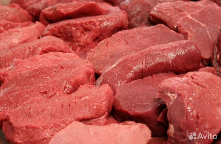 Мясо конина