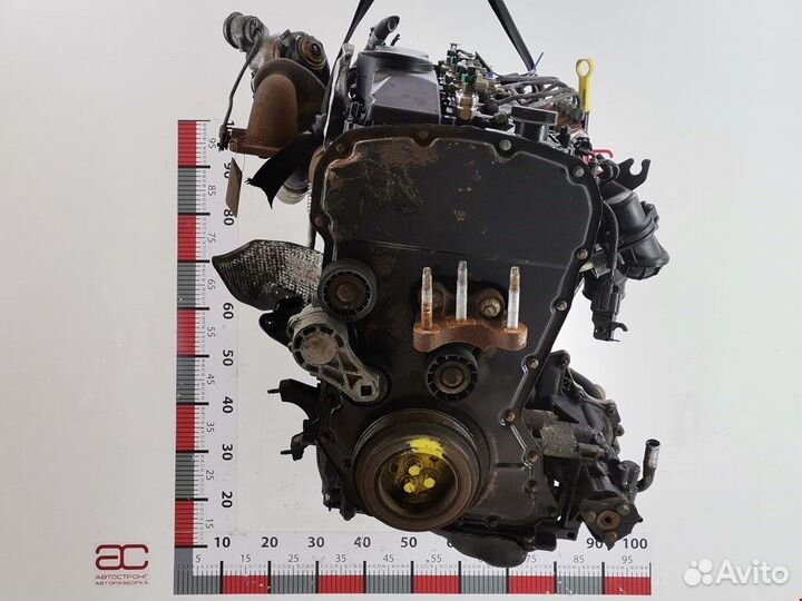 Двигатель (двс) для Ford Transit 5 P8FA