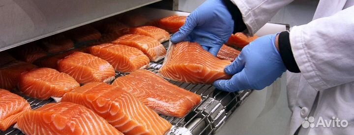 Рыбообработчик на производство