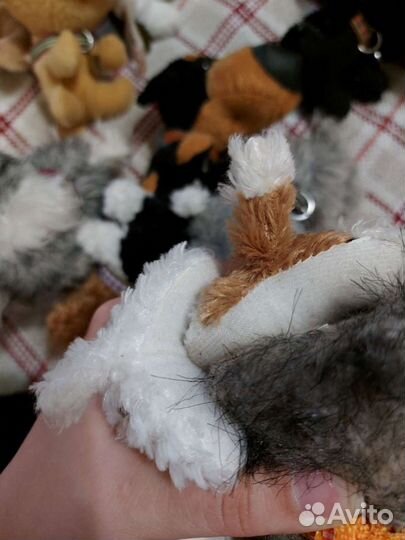 The dog collection 2010 (журналы игрушки)