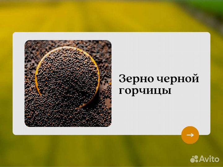 Чёрная горчица (кг)