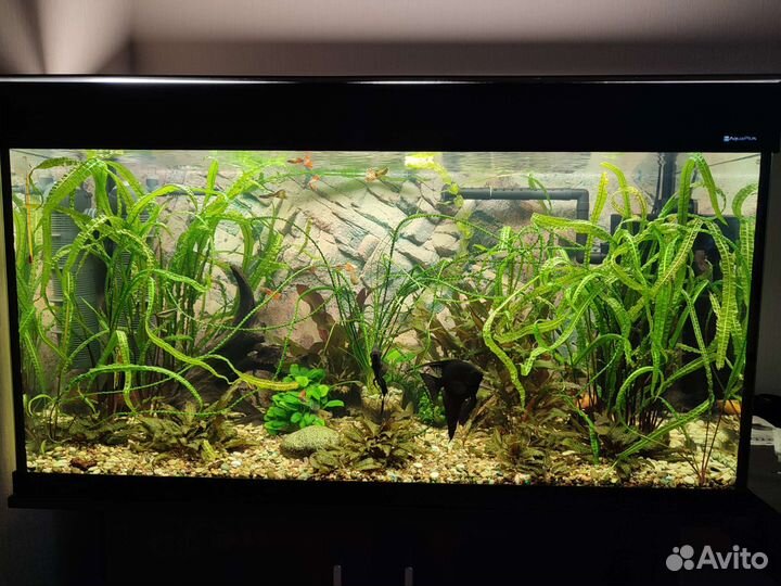 Аквариум