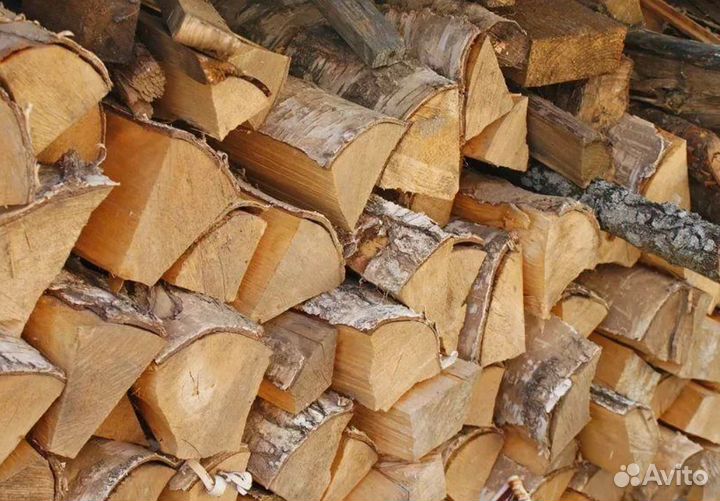 Дрова береза