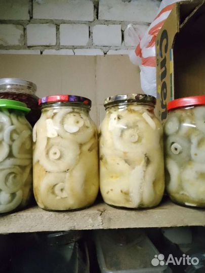 Белые грузди