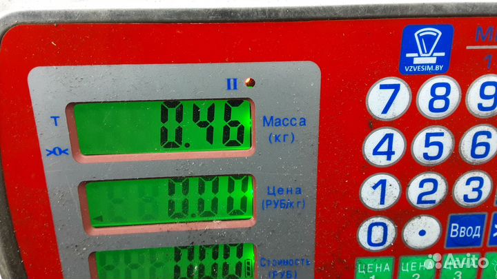 Педаль Volkswagen Phaeton 2003 3D1721503L