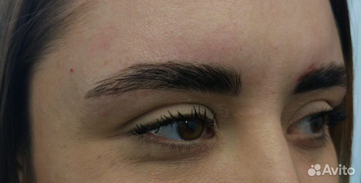 Мастер бровист