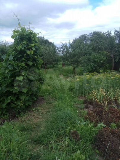 Дом 40 м² на участке 40 сот.