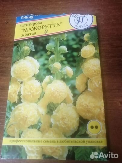 Шток-роза (мальва)