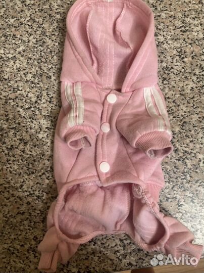 Одежда для собак